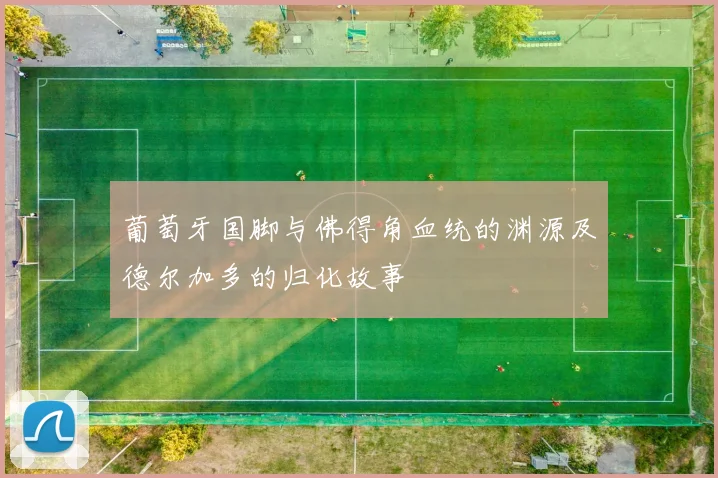 葡萄牙国脚与佛得角血统的渊源及德尔加多的归化故事